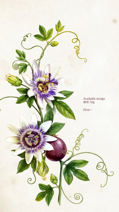 Passionflower